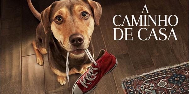 A Caminho de Casa